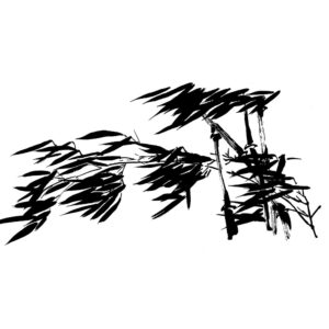 Bamboo in the Wind - Bambusz a szélben - sumi-e