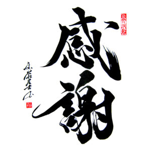 thanks; gratitude; appreciation; thankfulness