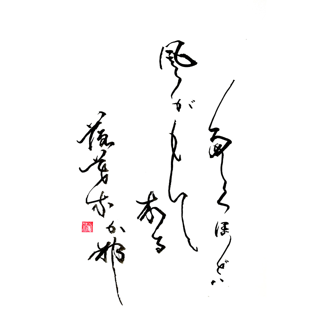 焚くほどは風がもて来る落ち葉かな