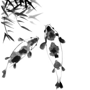 koi