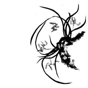 orchid sumi-e