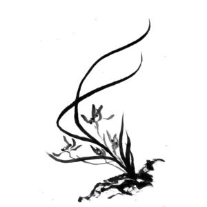 orchid sumi-e