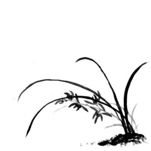 Orchid No7 - Orchidea sumi-e