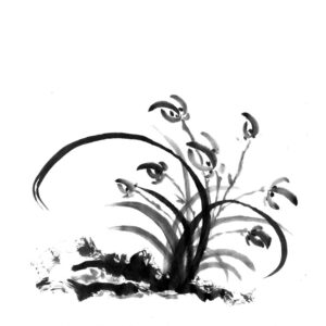 orchid sumi-e