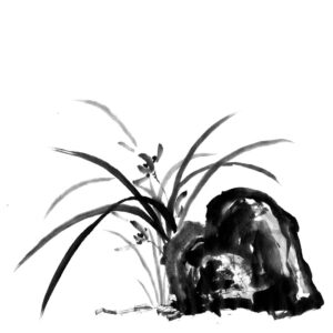 orchid sumi-e