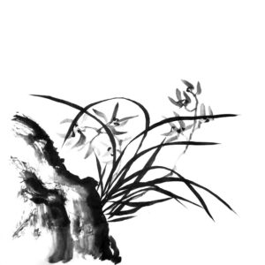 Orchid No1 - Orchidea sumi-e