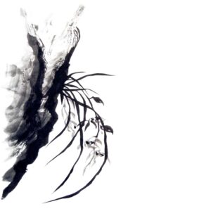 orchid sumi-e