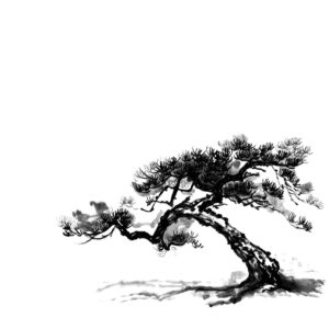 pine sumi-e