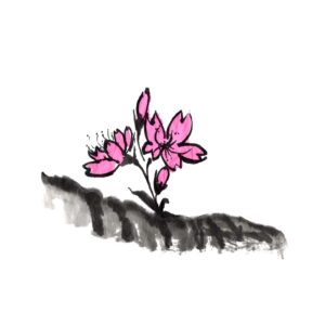 Cherry Blossoms No3 - Sakura - Cseresznyevirág sumi-e