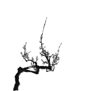 ume - plum sumi-e