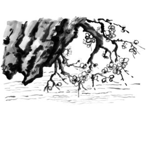 Water and Plum blossoms sumi-e